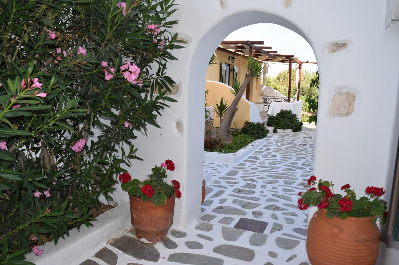 Tzane Studios & Apartments - Steps Away From Golden Beach Chrisi Akti  Eksteriør billede