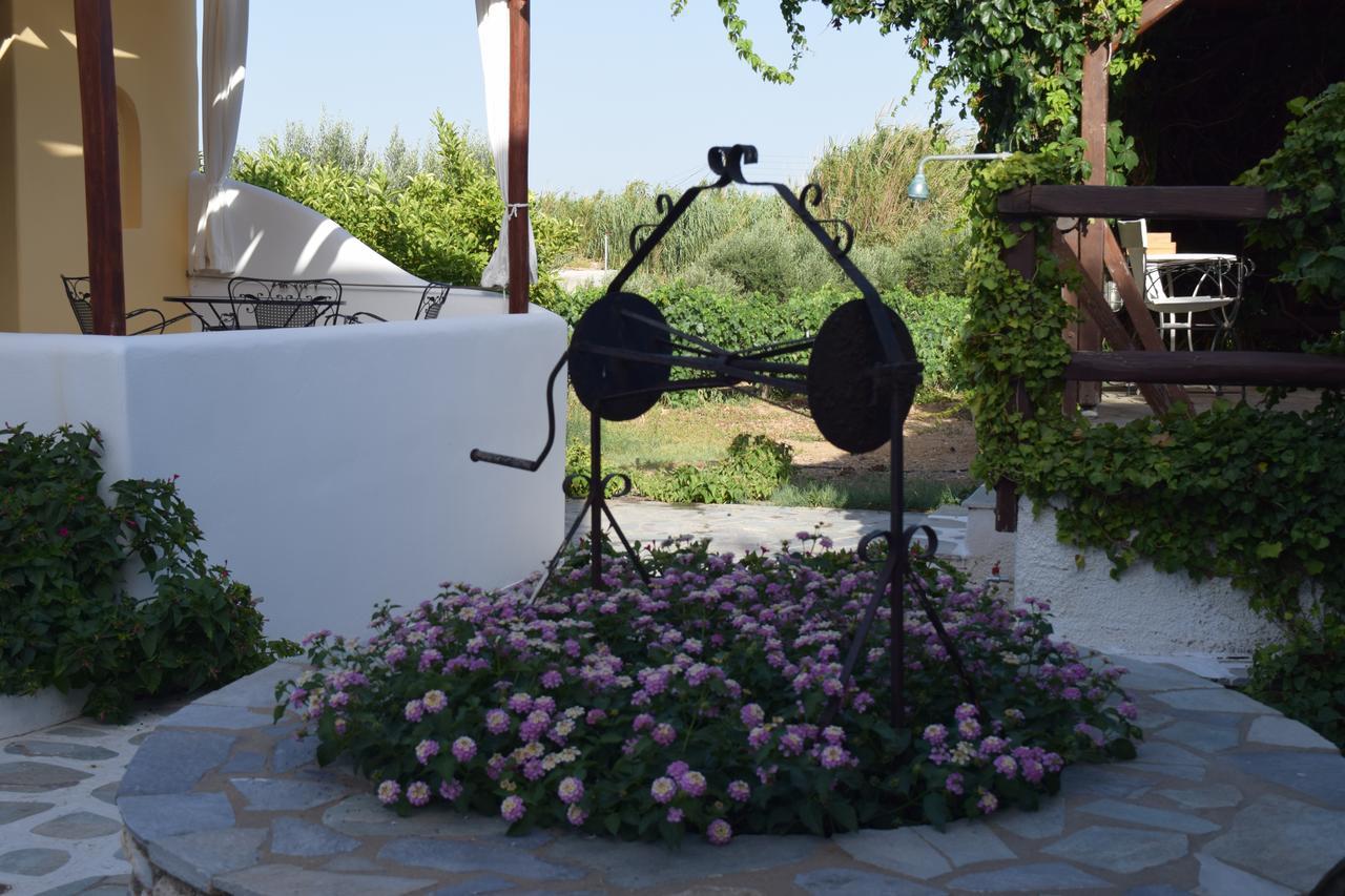 Tzane Studios & Apartments - Steps Away From Golden Beach Chrisi Akti  Eksteriør billede